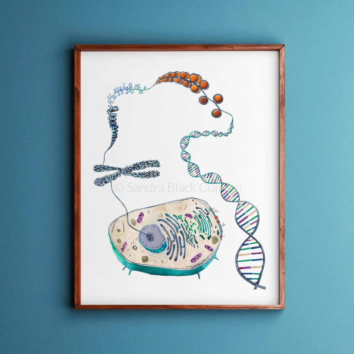 Cell to Helix,[product type] - Sandra Black Science Art