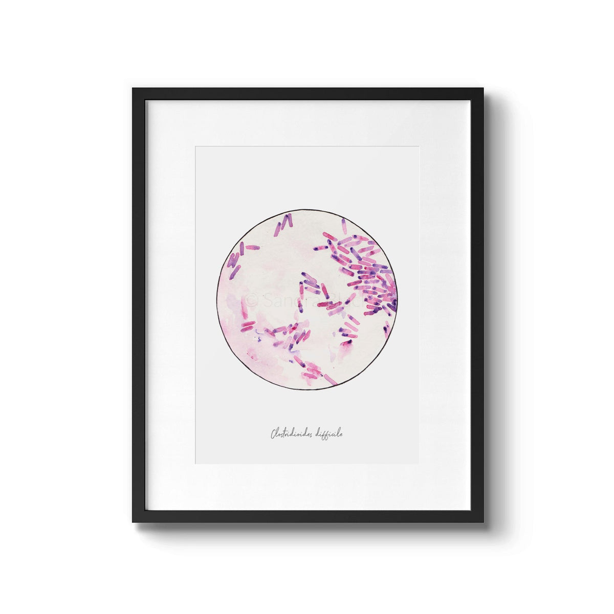 Clostridioides difficile framed in black frame art print painting