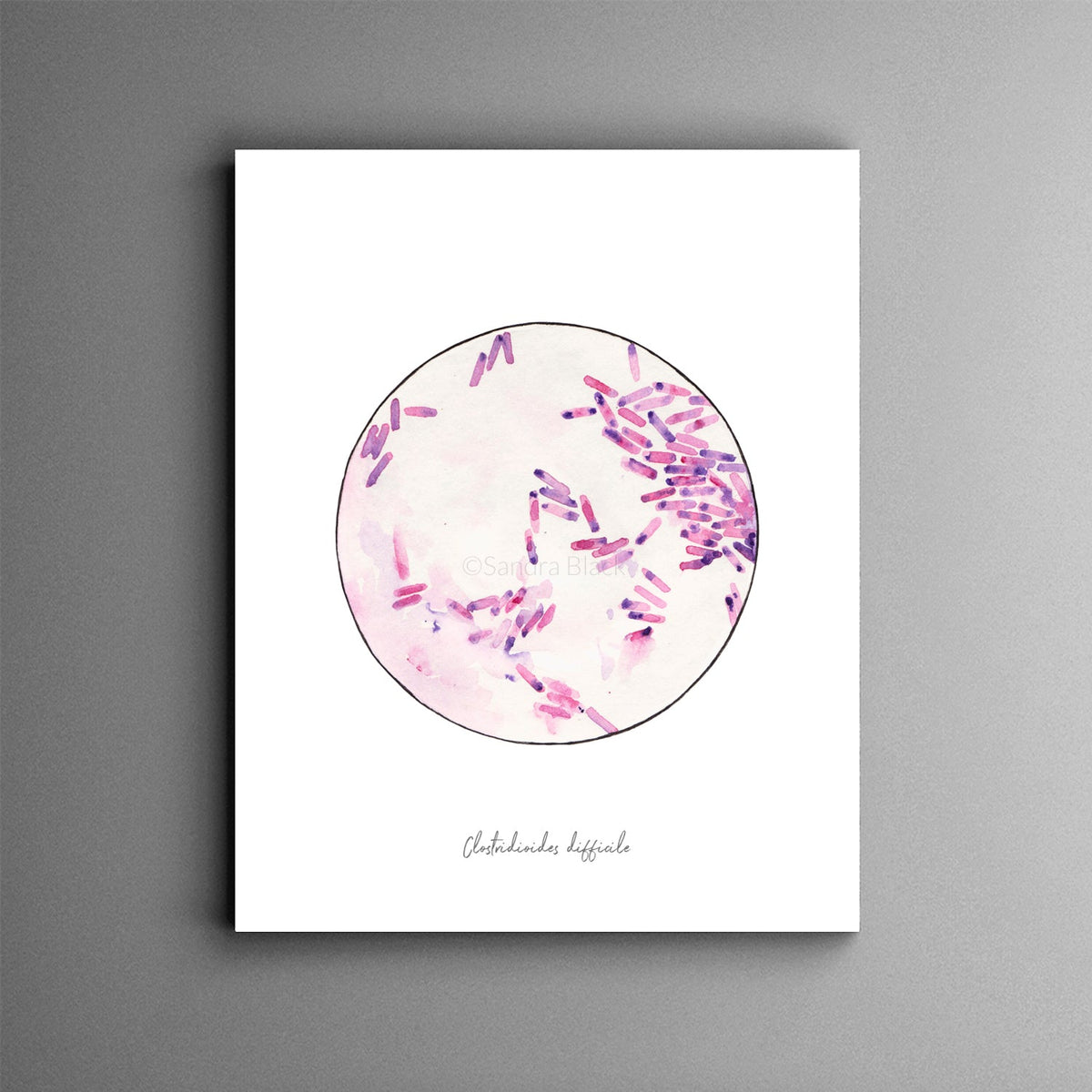 Clostridioides fine art print