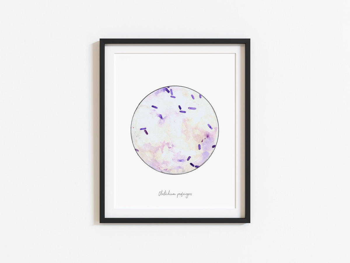 Bacteria art print in black frame
