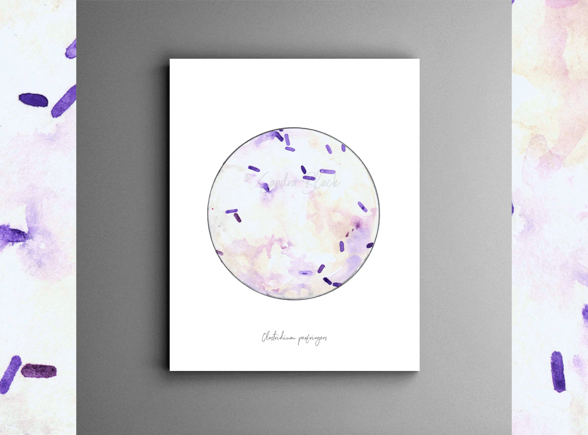 Clostridium perfringens fine art print watercolor art