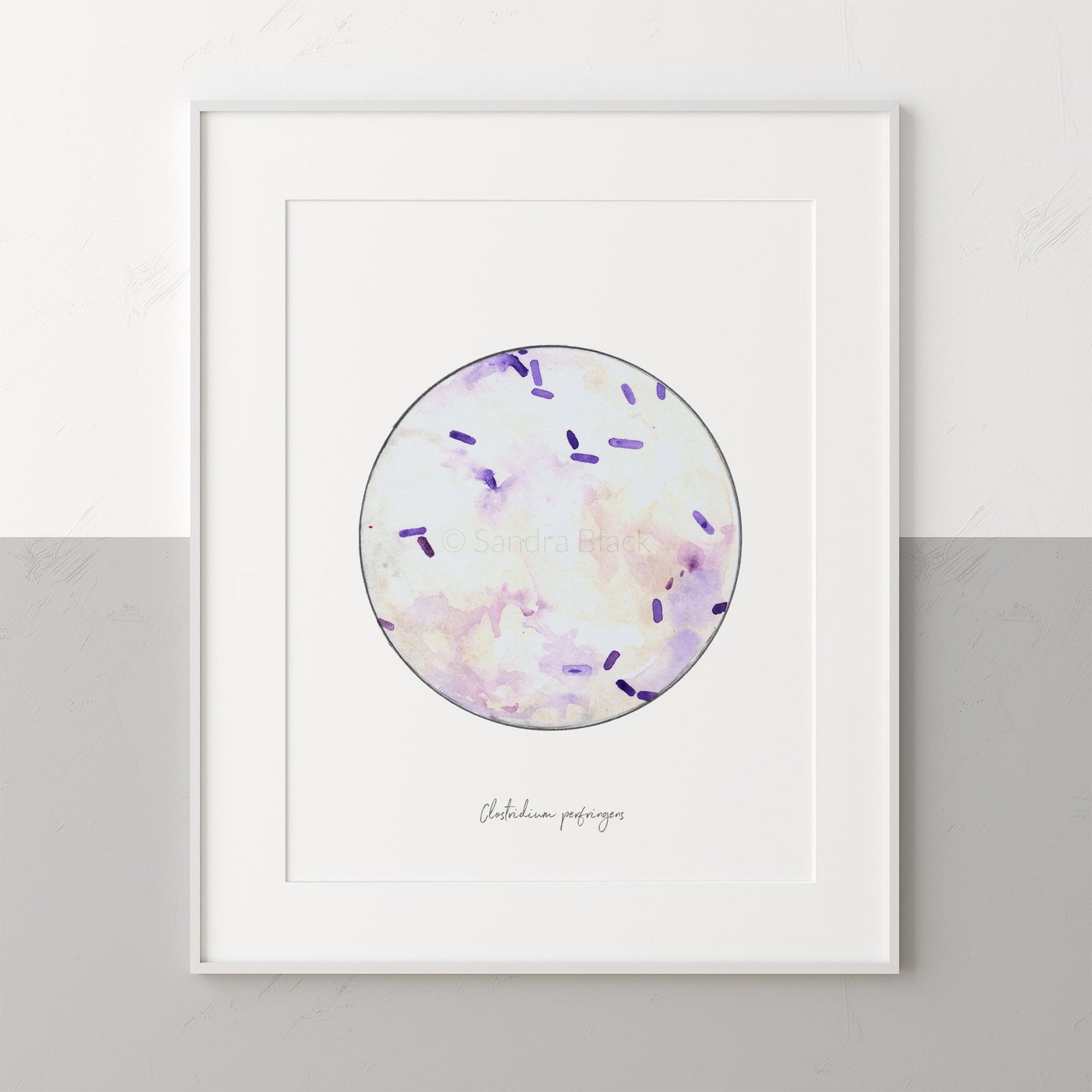 Clostridium perfringens fine art print watercolor art