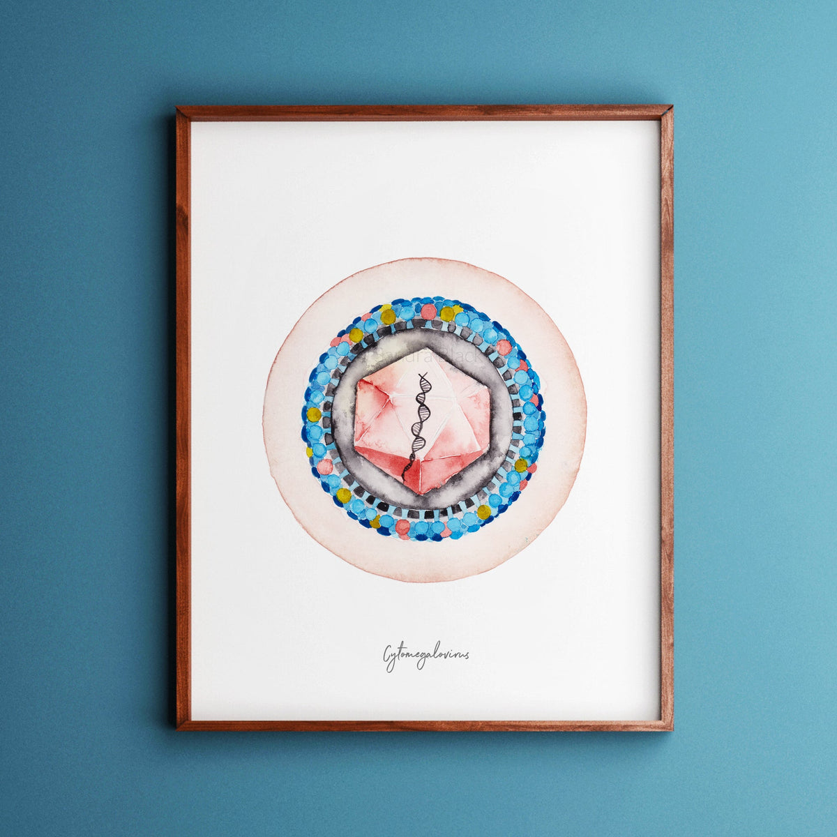 Cytomegalovirus,[product type] - Sandra Black Science Art