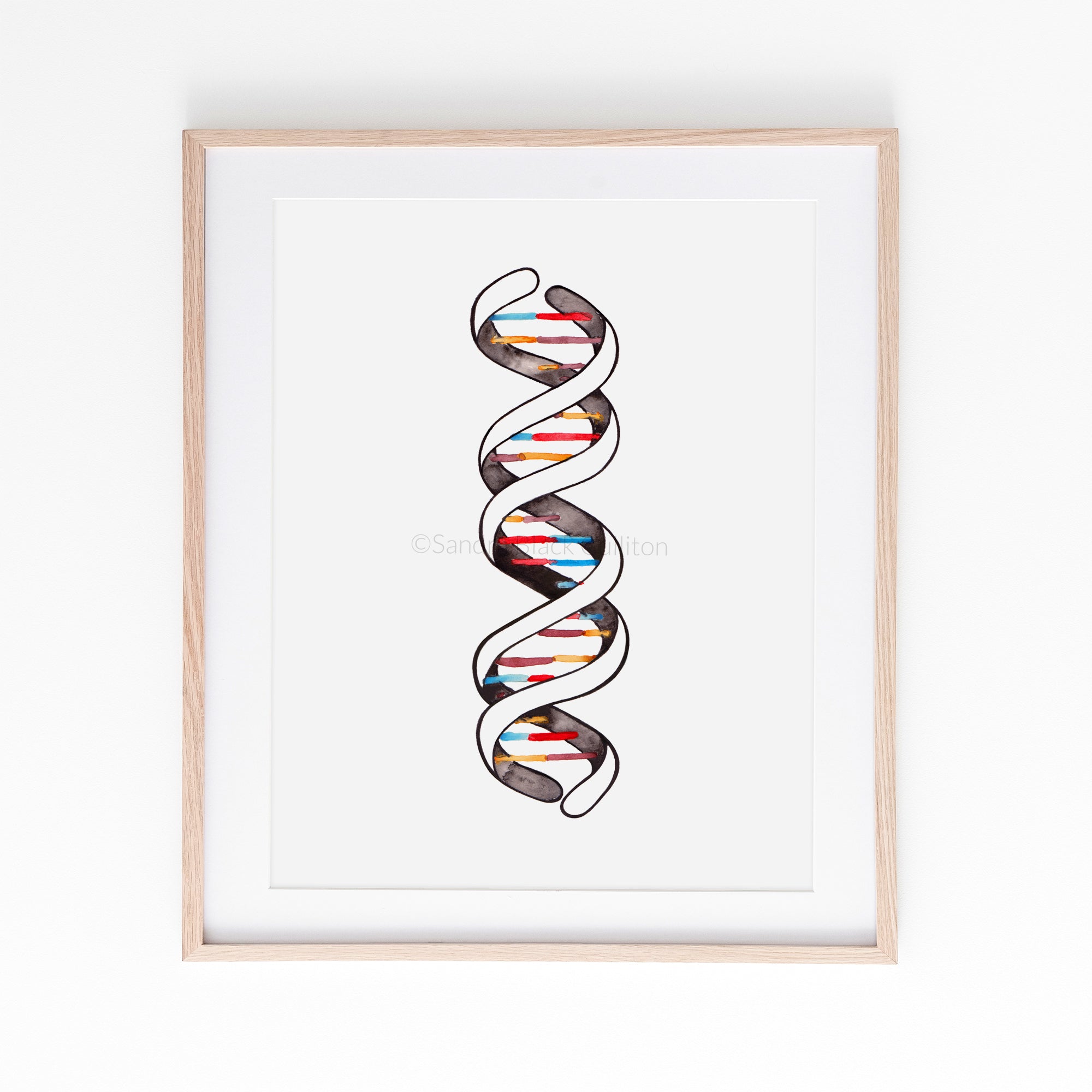 DNA Double Helix - Sandra Black