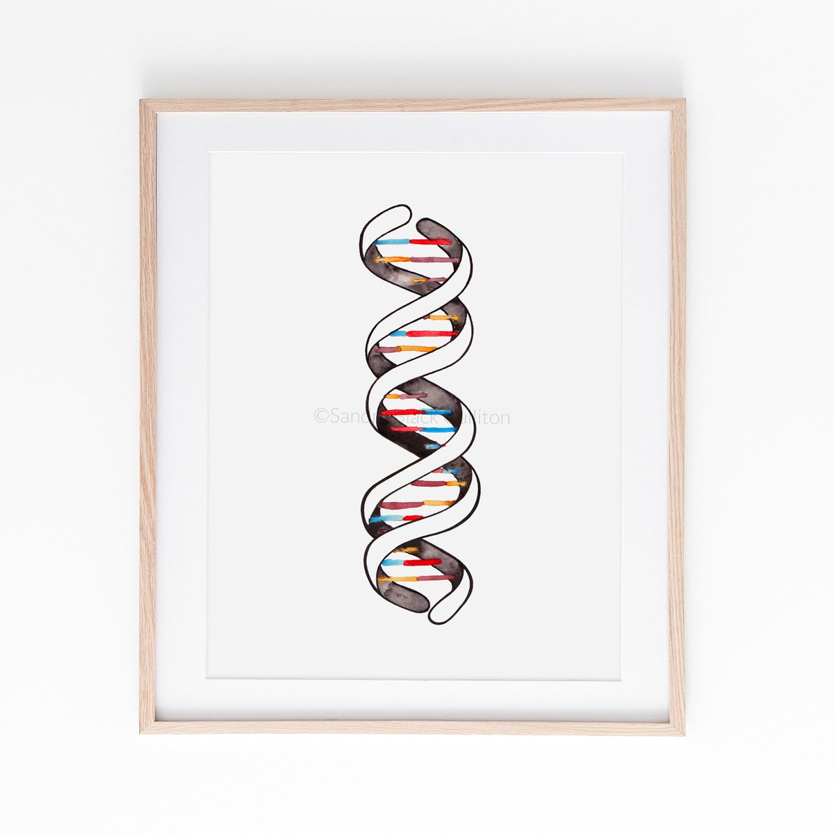 DNA double helix print in light wooden frame.