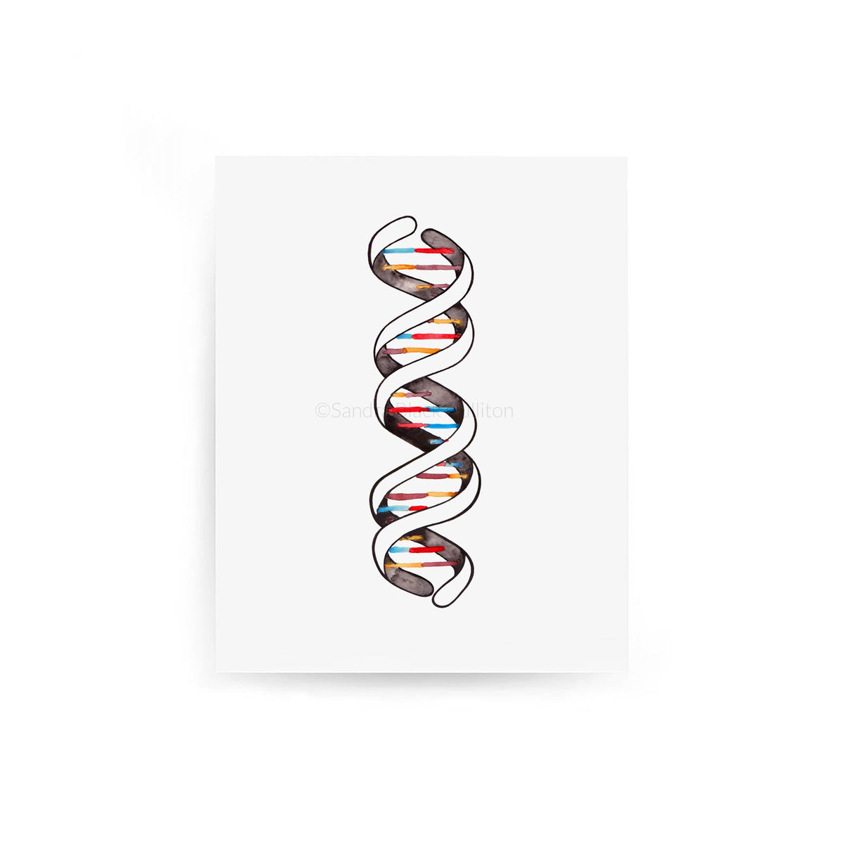 DNA double helix print on paper against white background.
