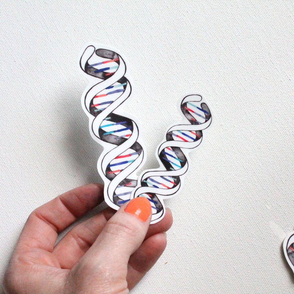 DNA Double Helix Vinyl Sticker - Sandra Black Culliton