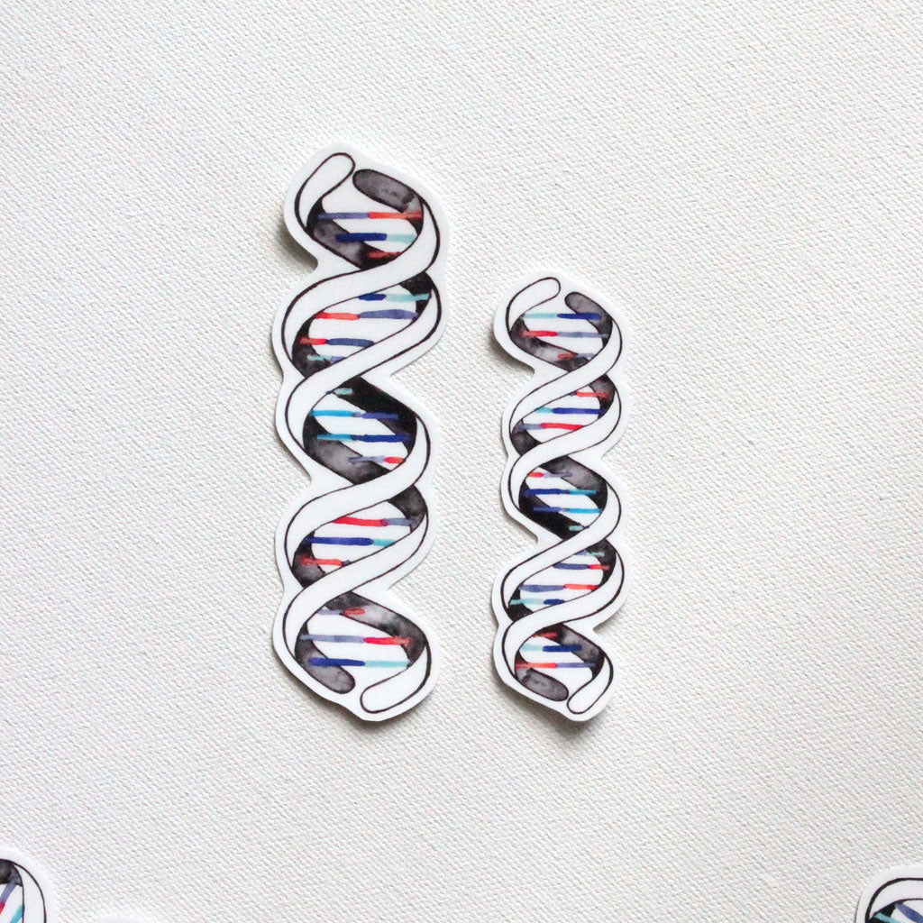 DNA Double Helix Vinyl Sticker - Sandra Black Culliton