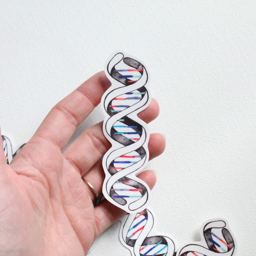 DNA Double Helix Vinyl Sticker - Sandra Black Culliton
