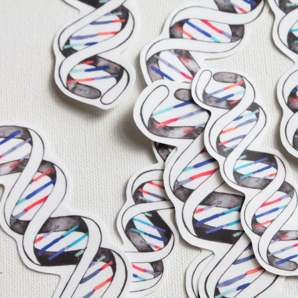 DNA Double Helix Vinyl Sticker - Sandra Black Culliton