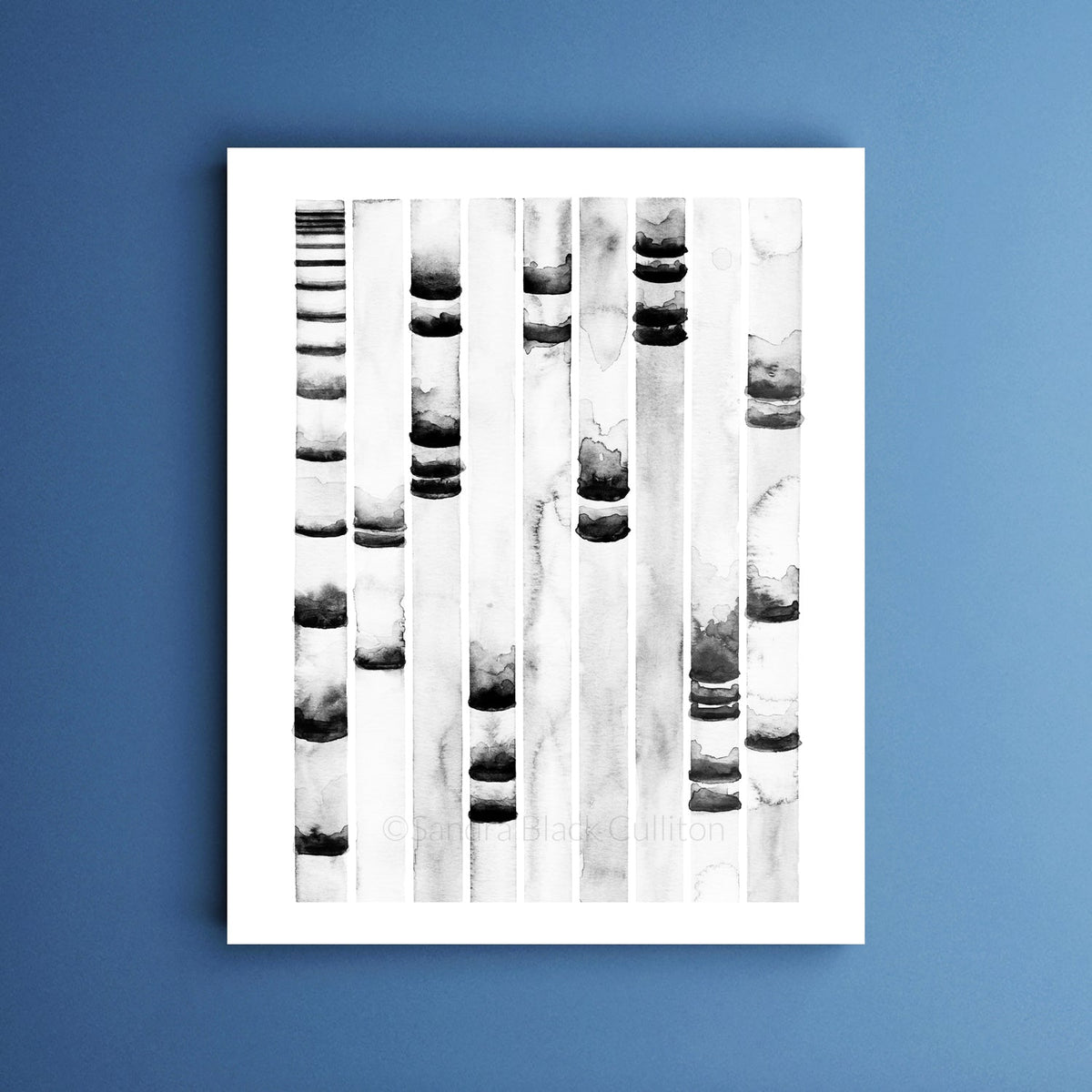 Electrophoresis 11 print