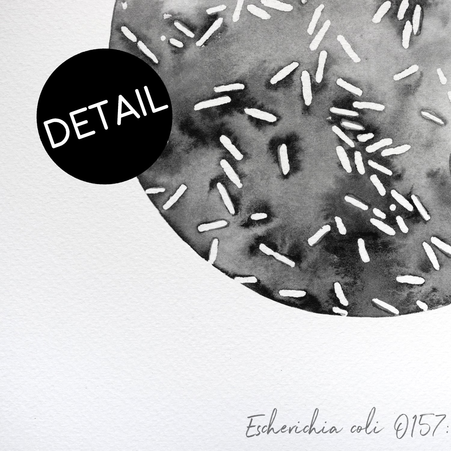 Escherichia coli close up view of print detail and textured paper.
