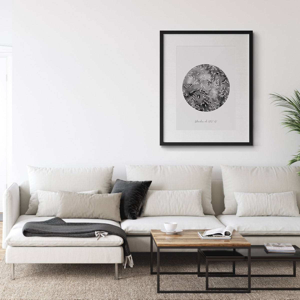 Escherichia coli fine art print in black frame