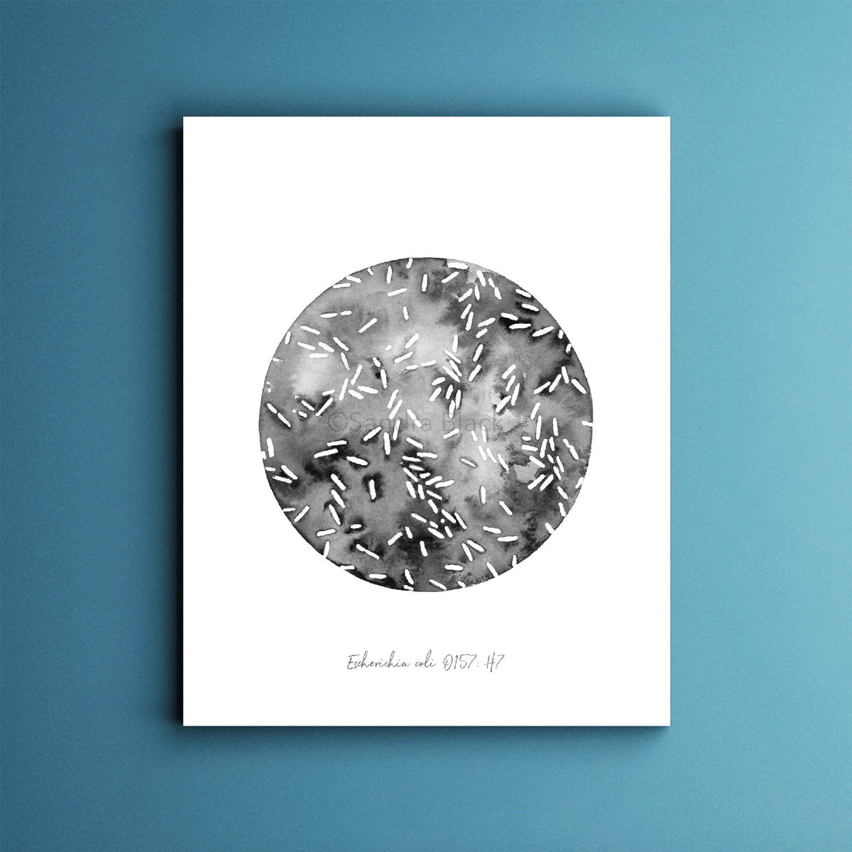 Escherichia coli print shown against blue background.