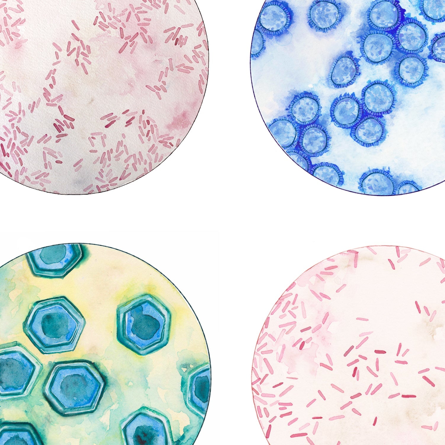 Microbes print detail
