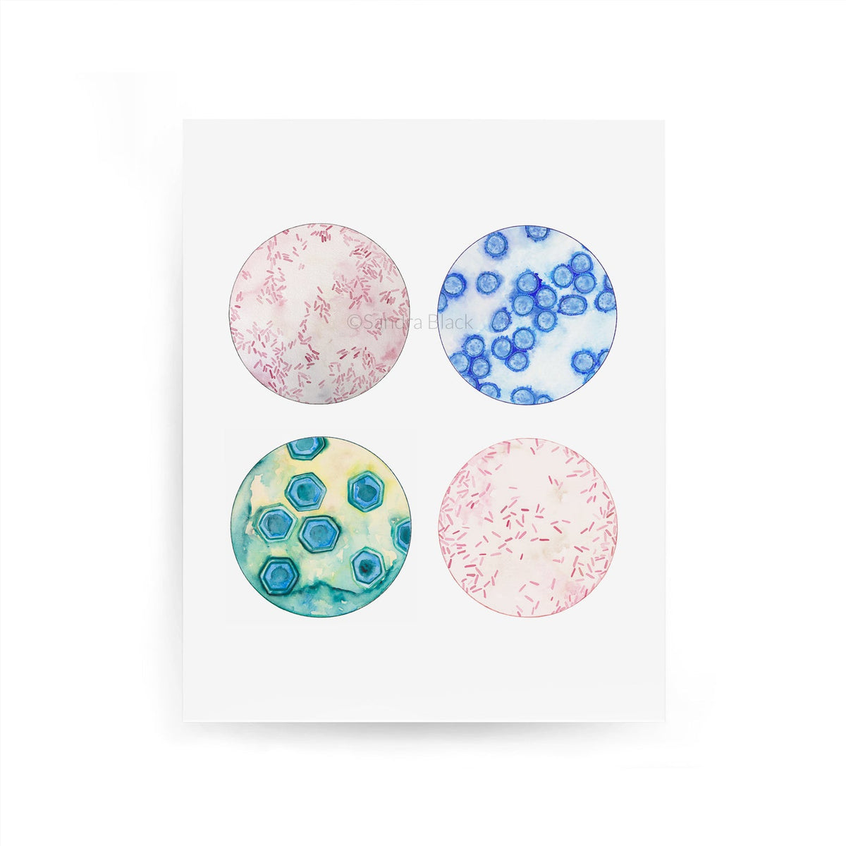 Farm Microbes Printed