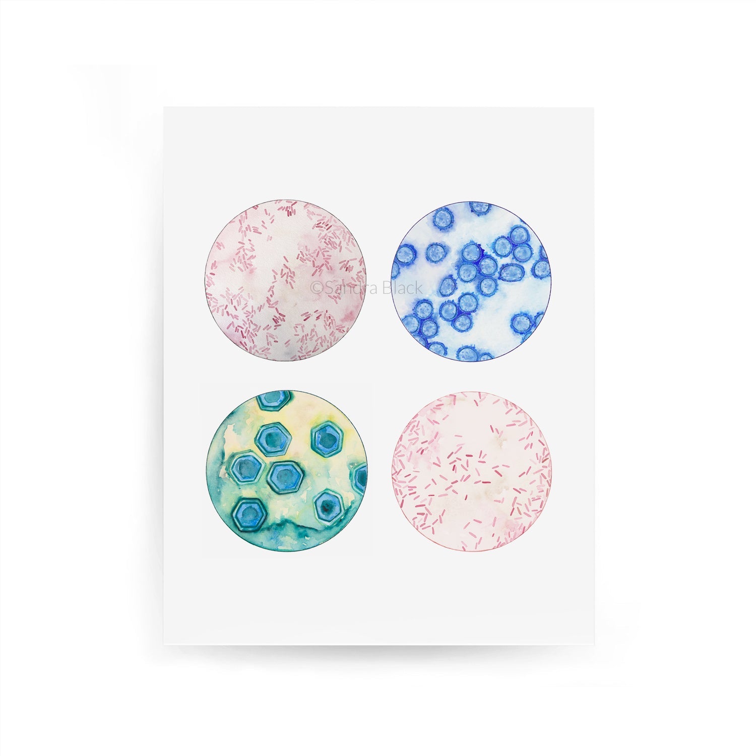 Farm Microbes Printed