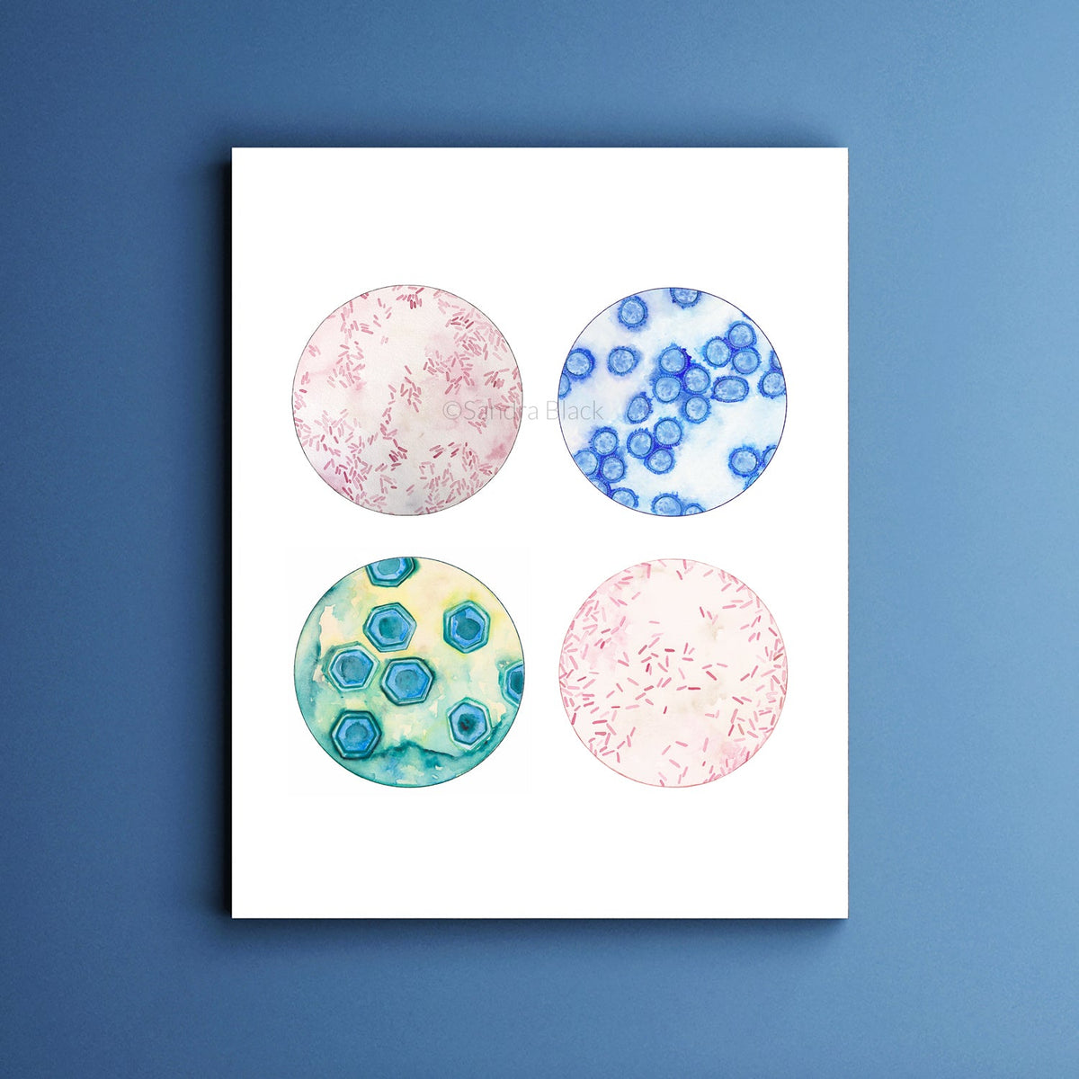 Livestock Microbes