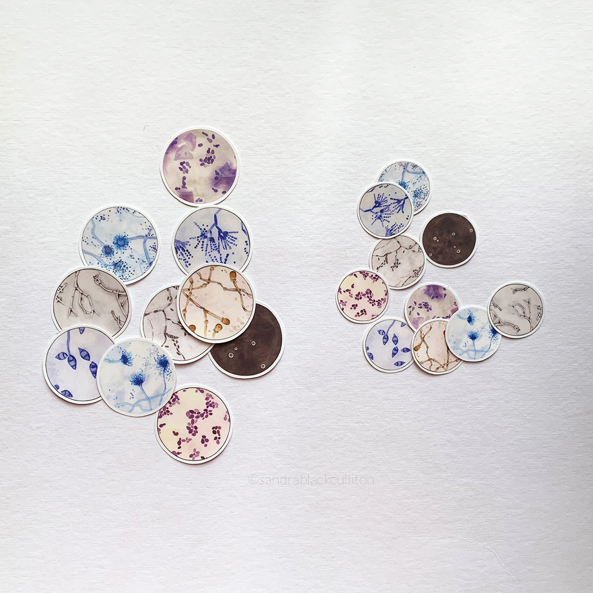 Fungi Stickers - Sandra Black Culliton
