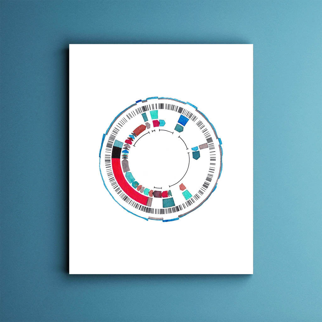 CDK1 Gene Map,[product type] - Sandra Black Science Art