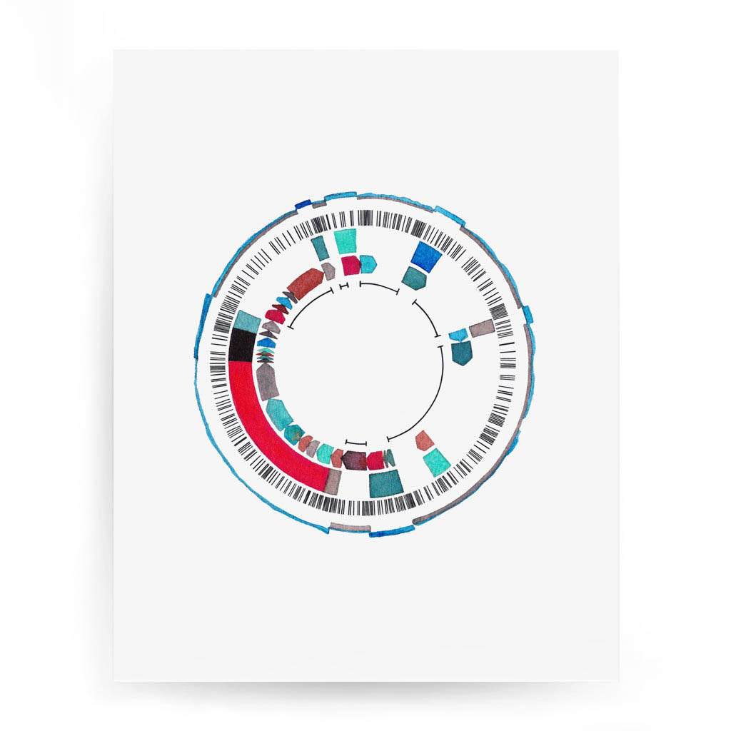 CDK1 Gene Map,[product type] - Sandra Black Science Art