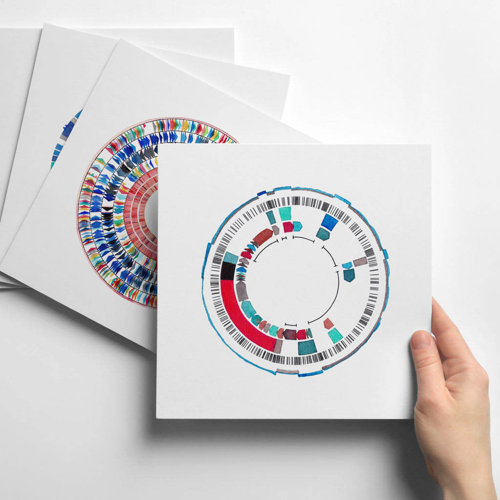 CDK1 Gene Map,[product type] - Sandra Black Science Art