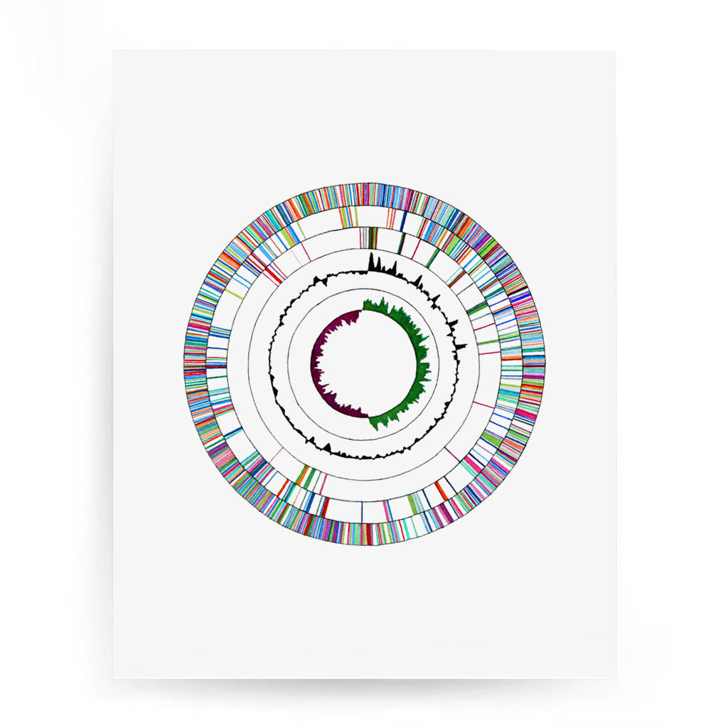 Genome 2,[product type] - Sandra Black Science Art
