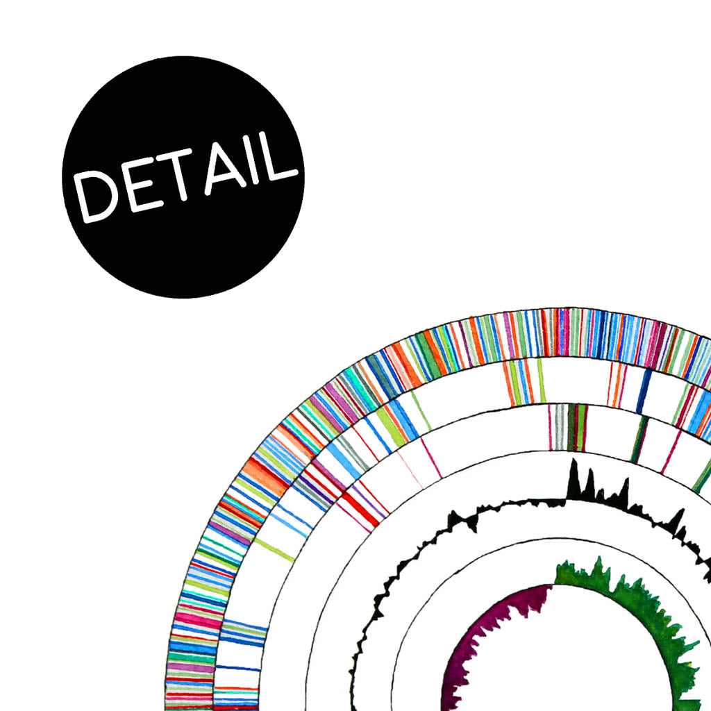 Genome 2,[product type] - Sandra Black Science Art