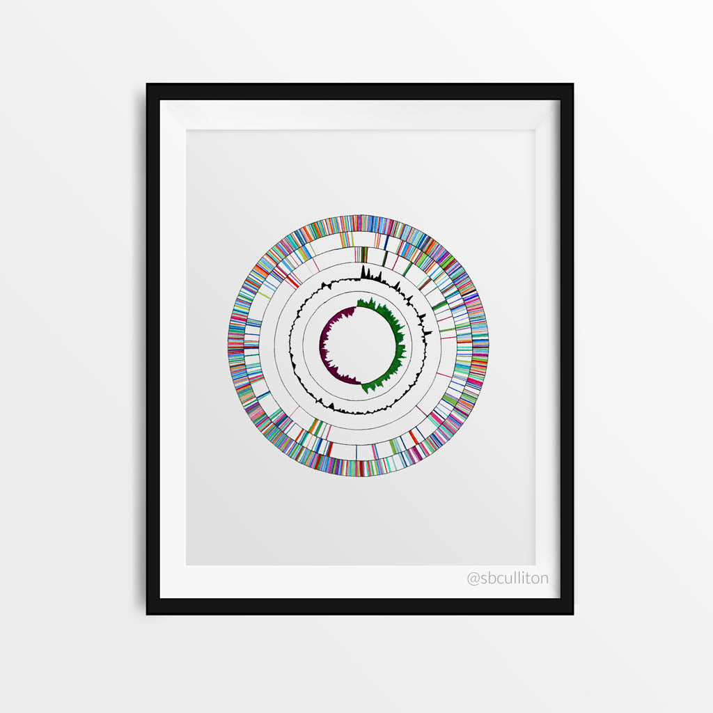 Genome 2,[product type] - Sandra Black Science Art