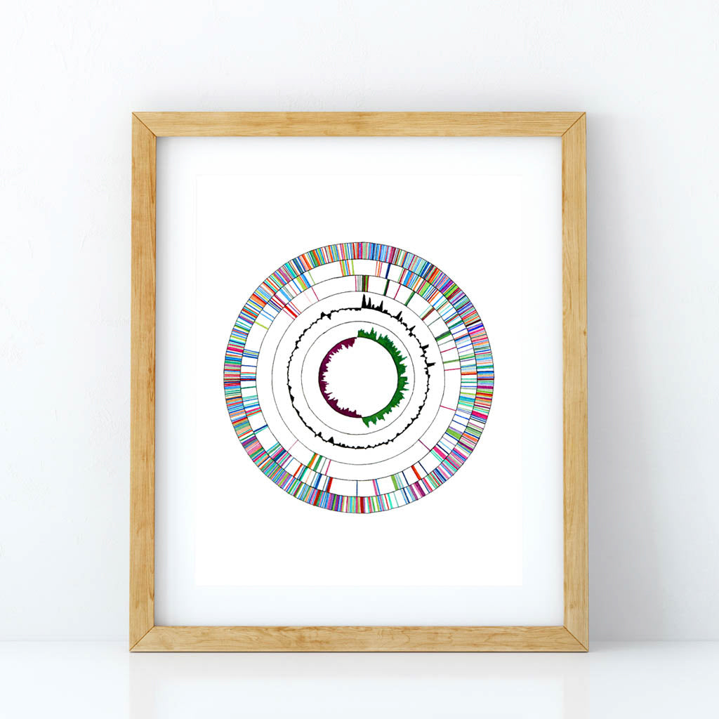 Genome 2,[product type] - Sandra Black Science Art