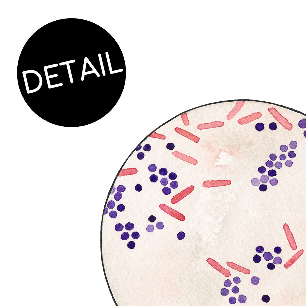 Gram Stain QC,[product type] - Sandra Black Science Art