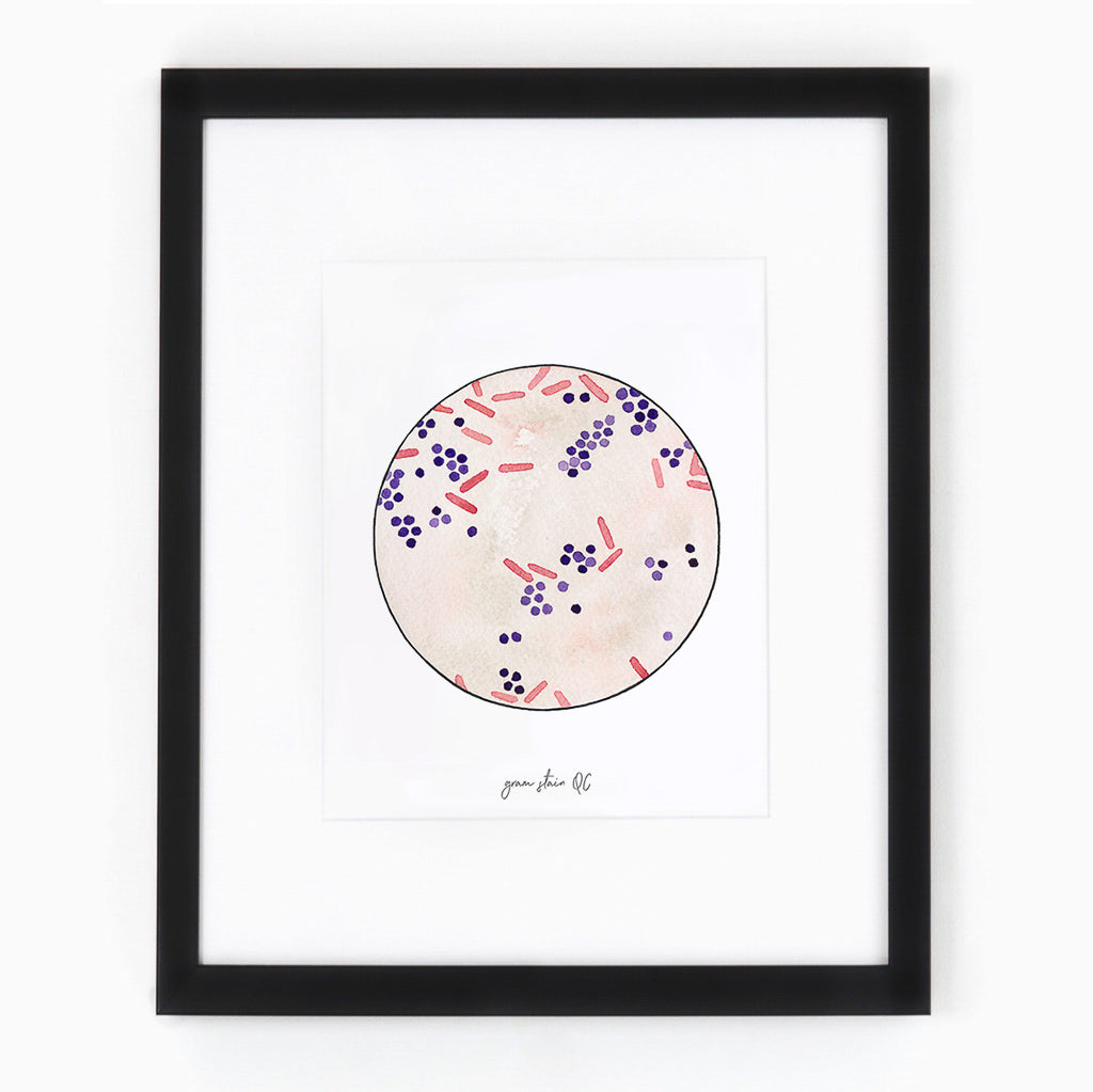 Gram Stain QC,[product type] - Sandra Black Science Art
