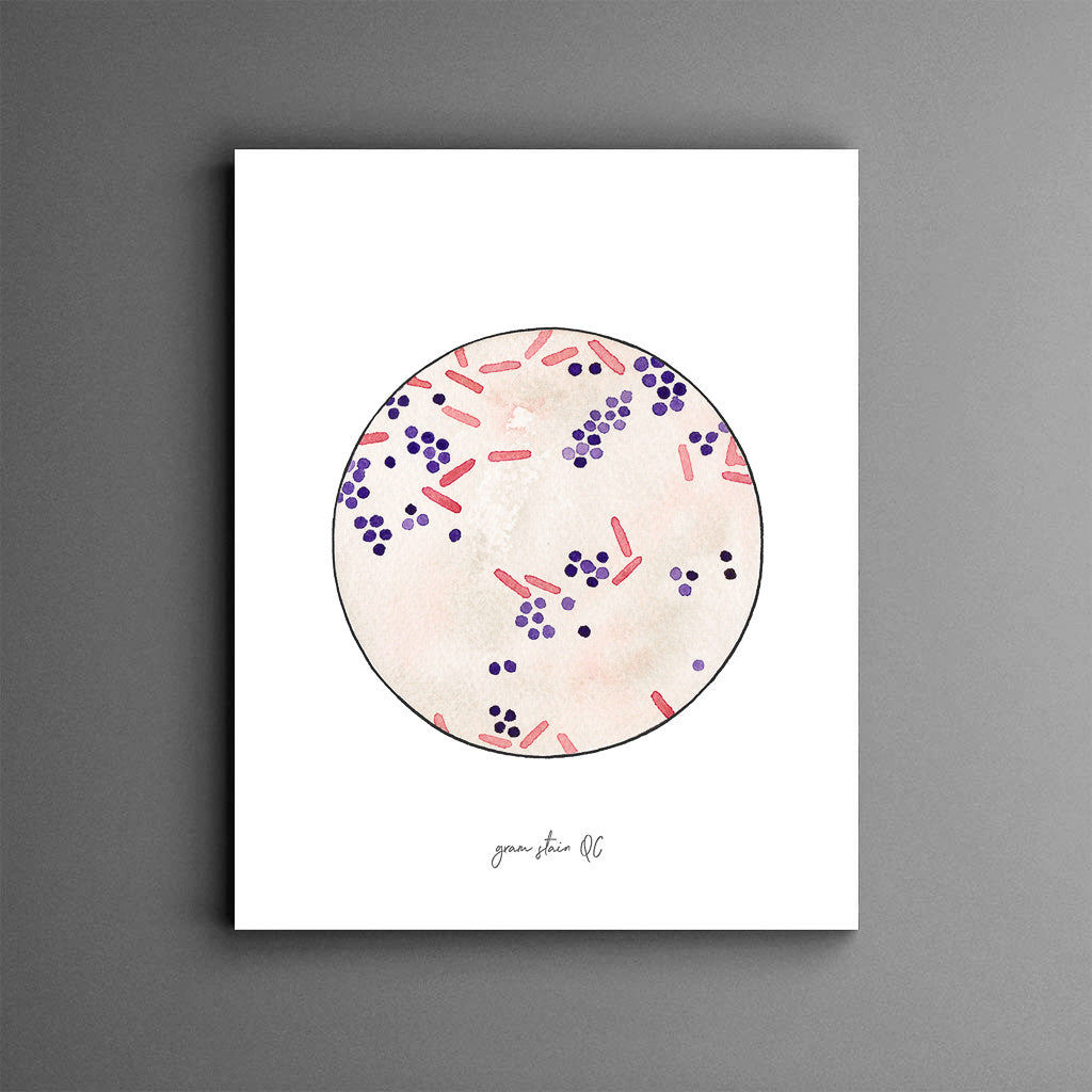 Gram Stain QC,[product type] - Sandra Black Science Art