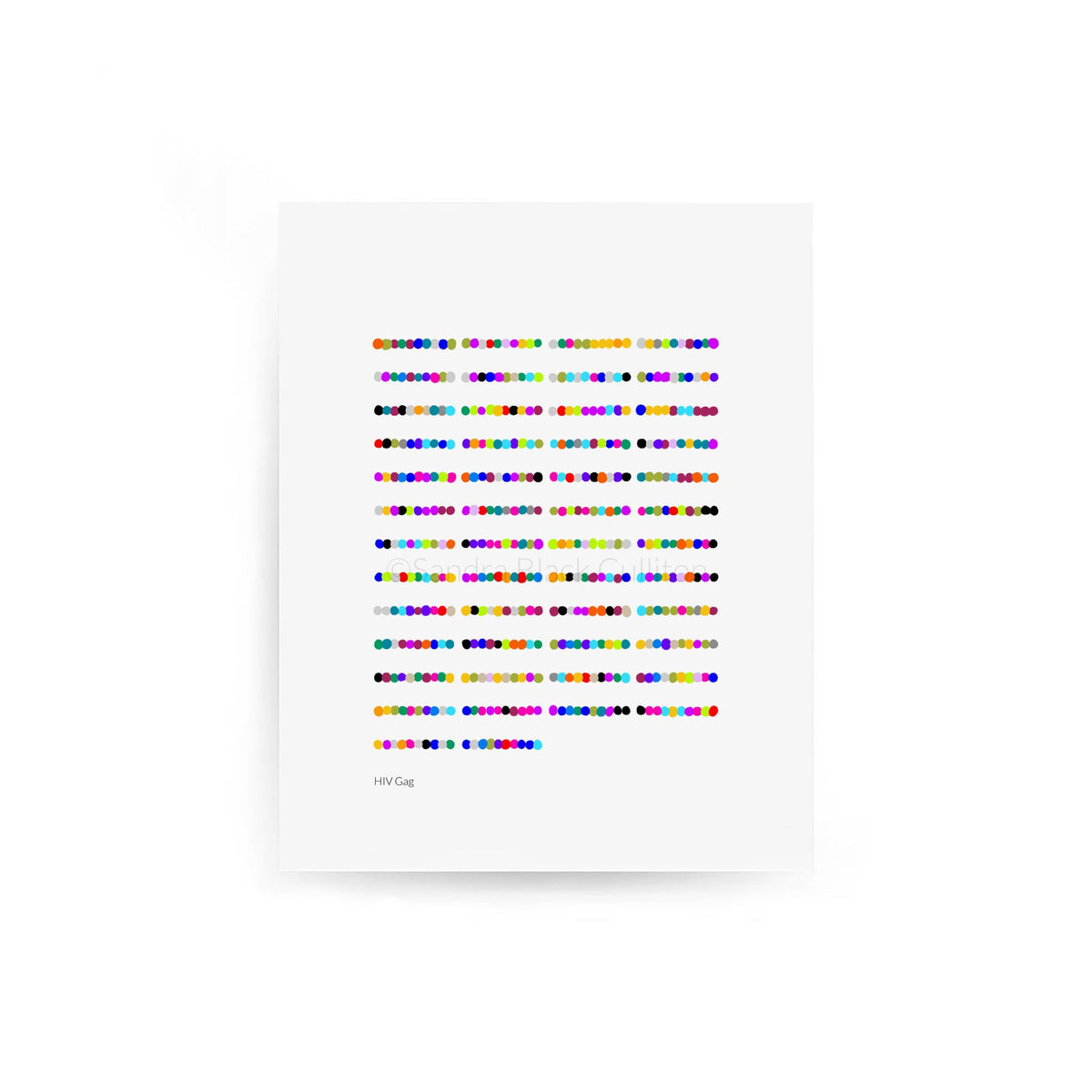 HIV Gag protein amino acid sequence