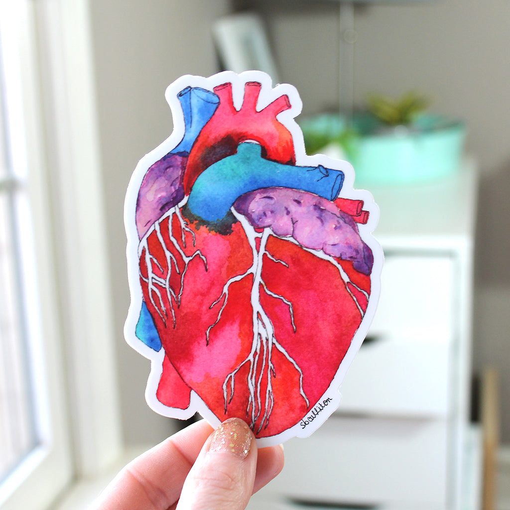 Anatomical Heart Vinyl Sticker - Sandra Black Culliton