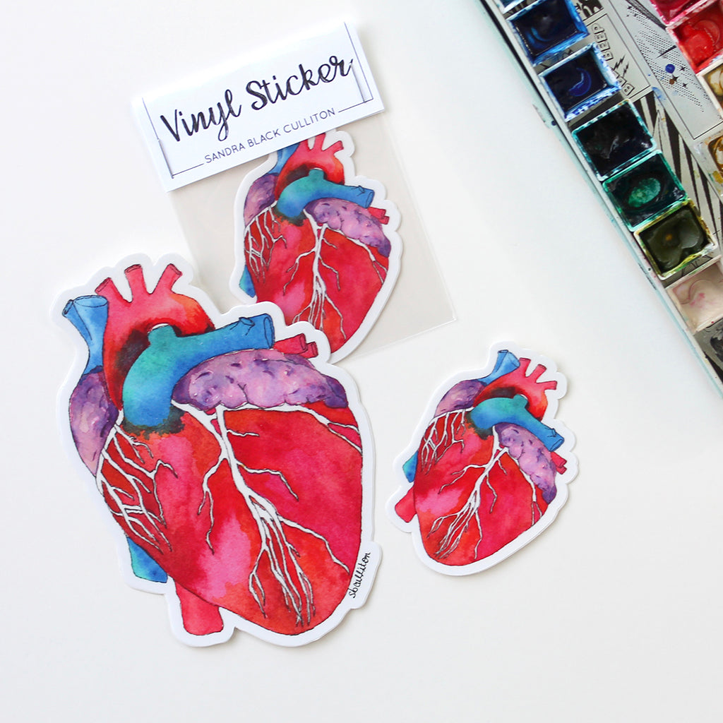 Anatomical Heart Vinyl Sticker - Sandra Black Culliton