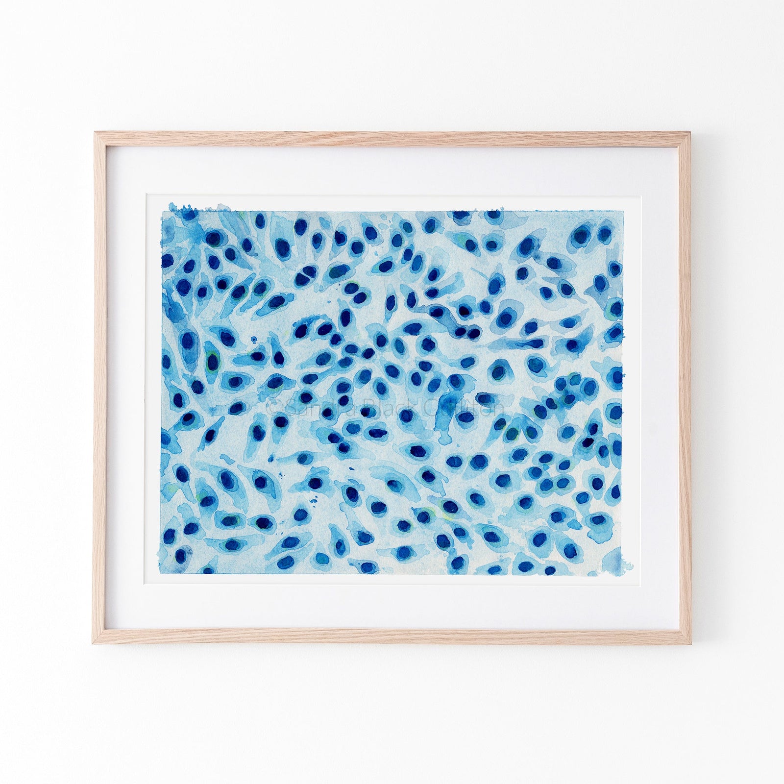 HepG2 Print Framed