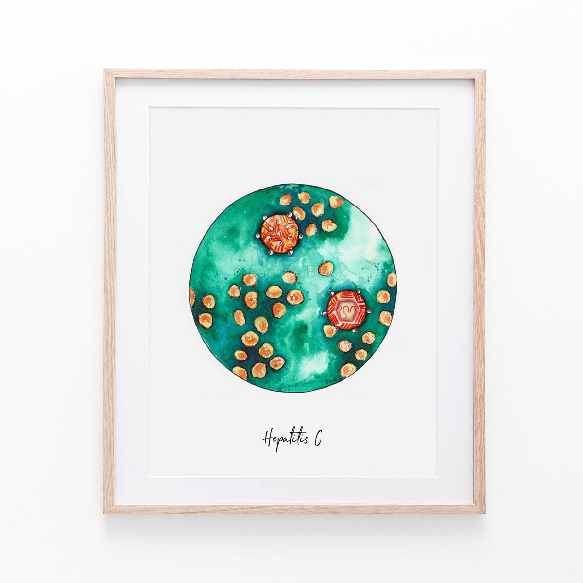 Hepatitis C Virus,[product type] - Sandra Black Science Art