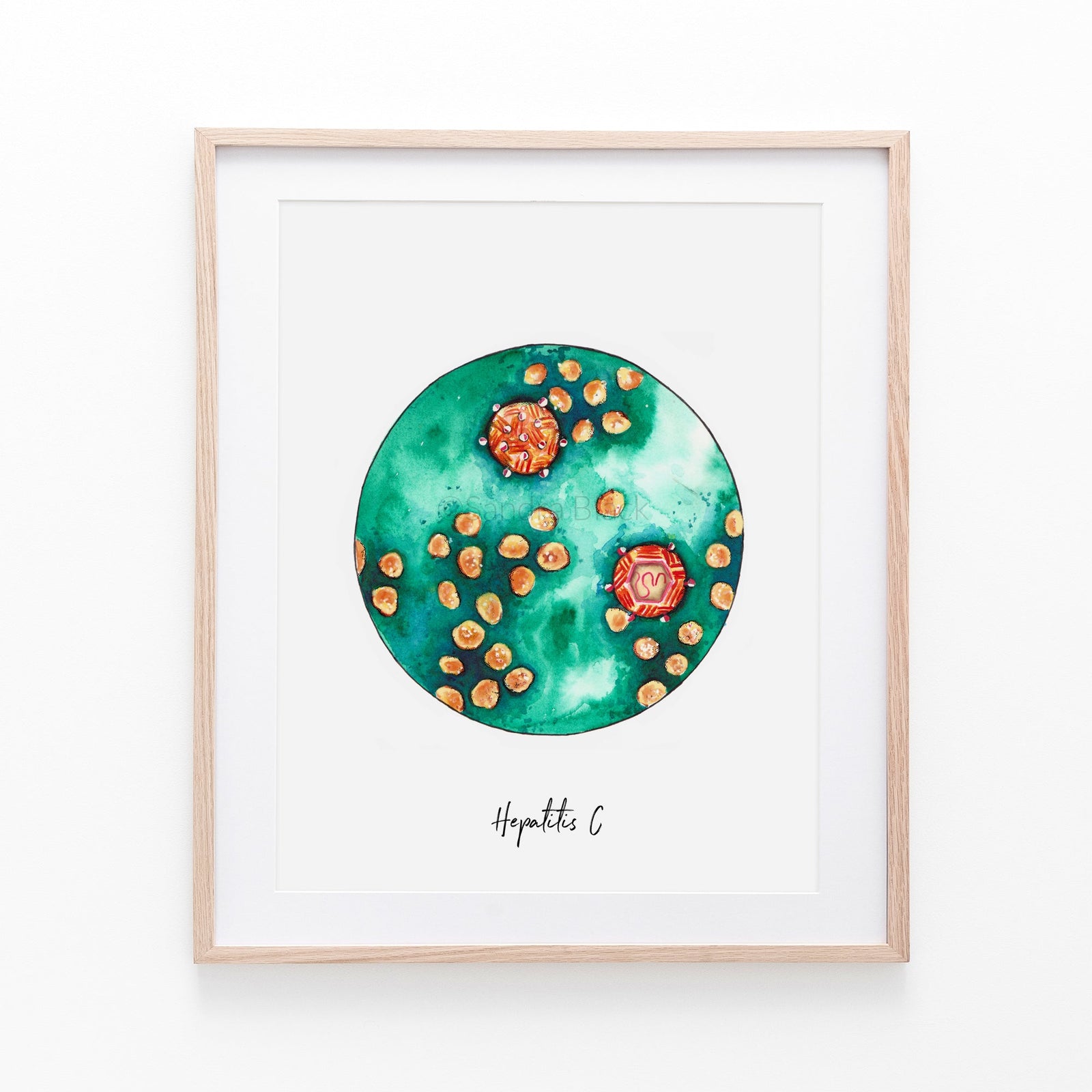 Hepatitis c virus art print poster watercolor 