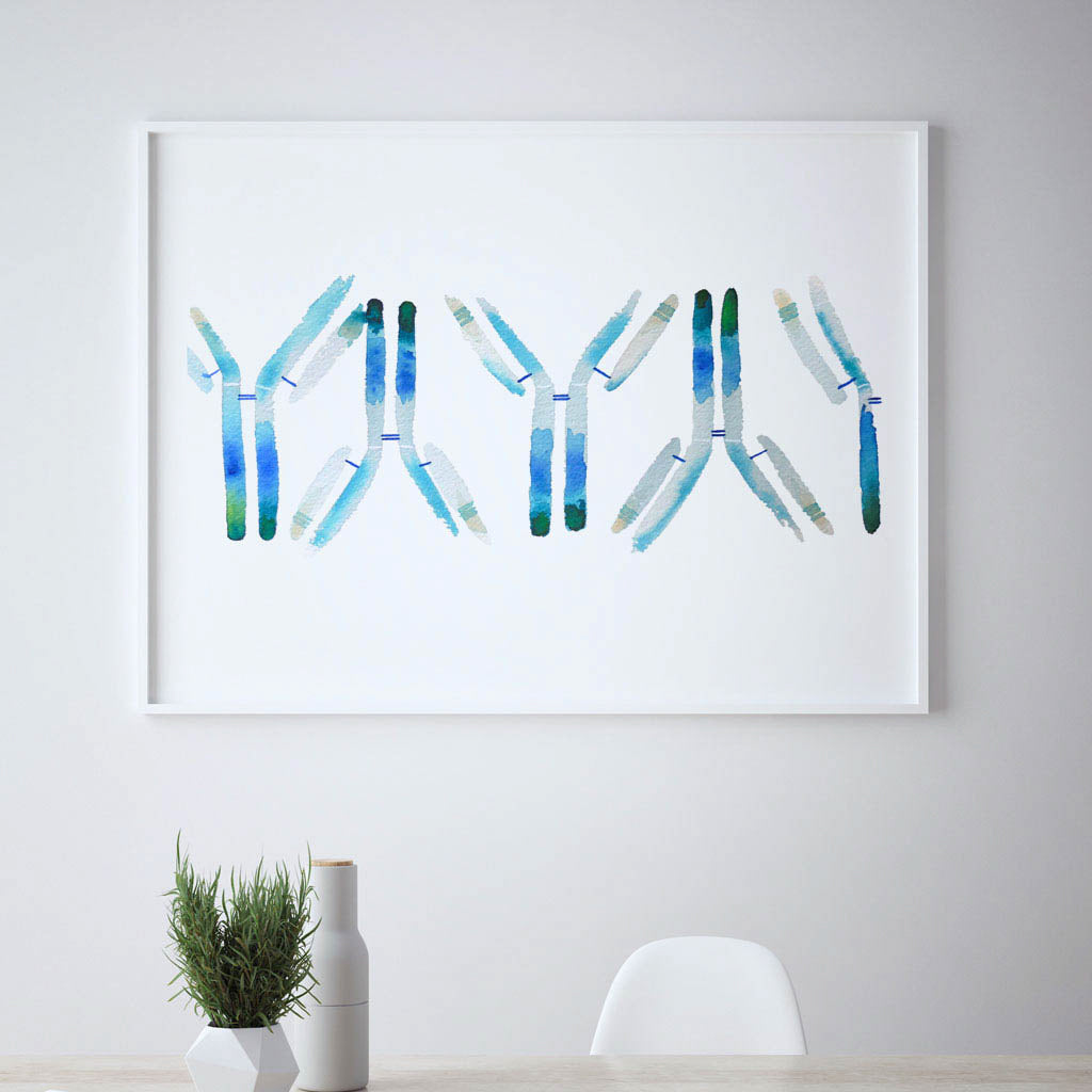 IgG,[product type] - Sandra Black Science Art