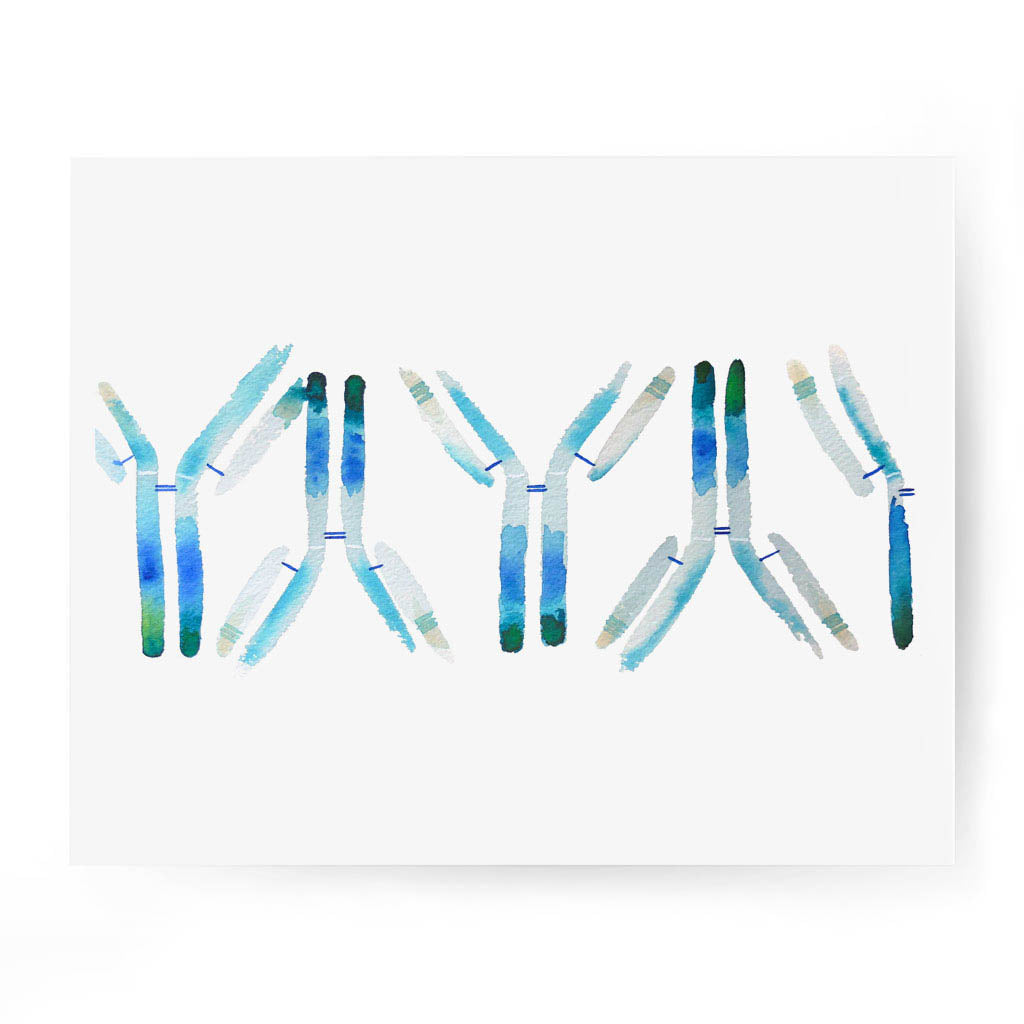 IgG,[product type] - Sandra Black Science Art