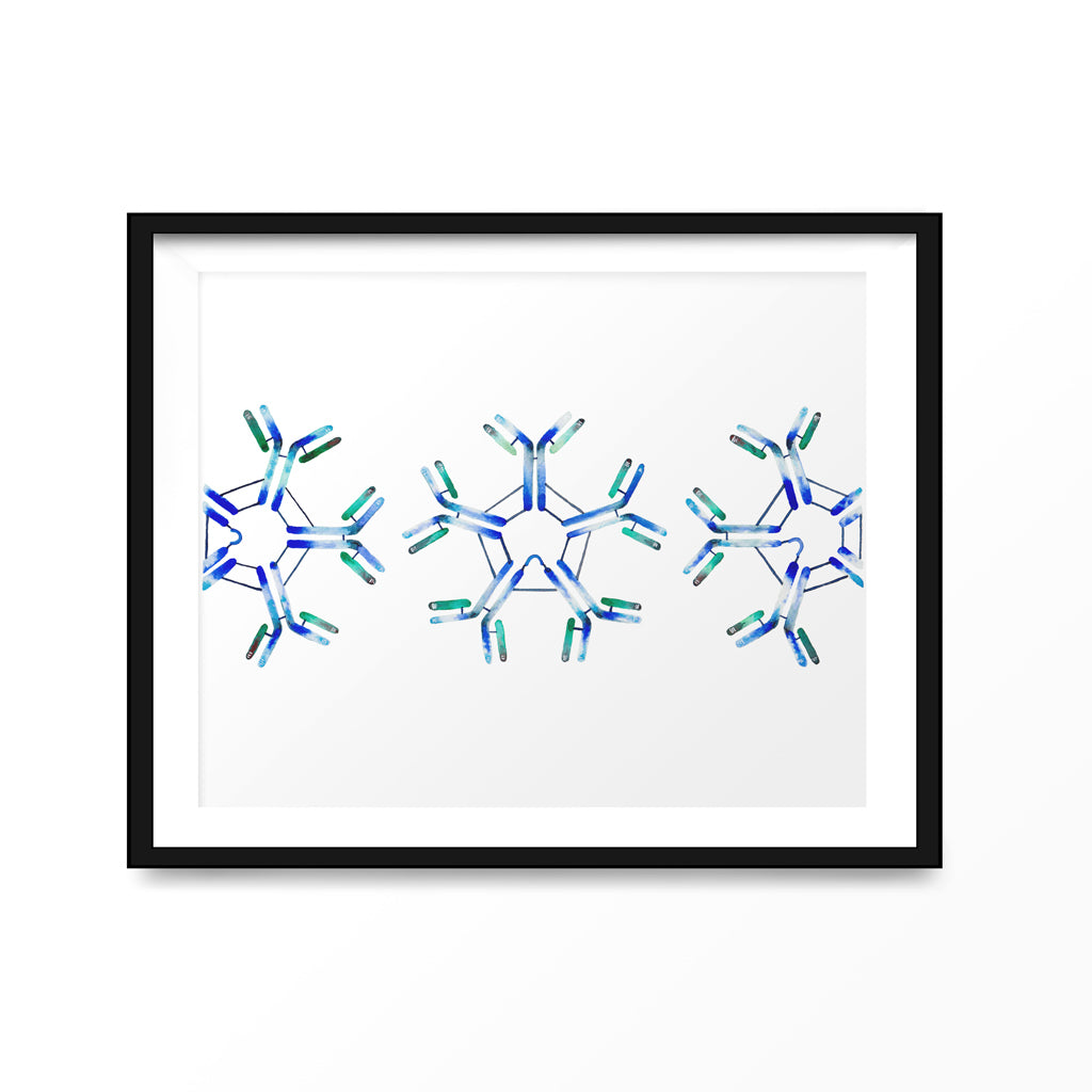 IgM,[product type] - Sandra Black Science Art