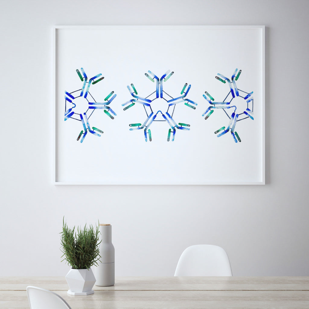 IgM,[product type] - Sandra Black Science Art