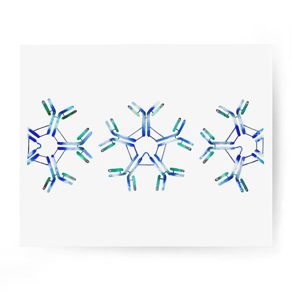 IgM,[product type] - Sandra Black Science Art