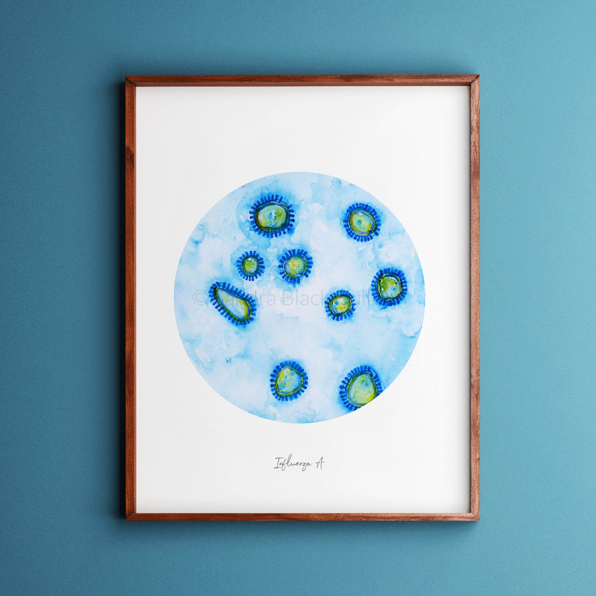 Infuenza EM print framed