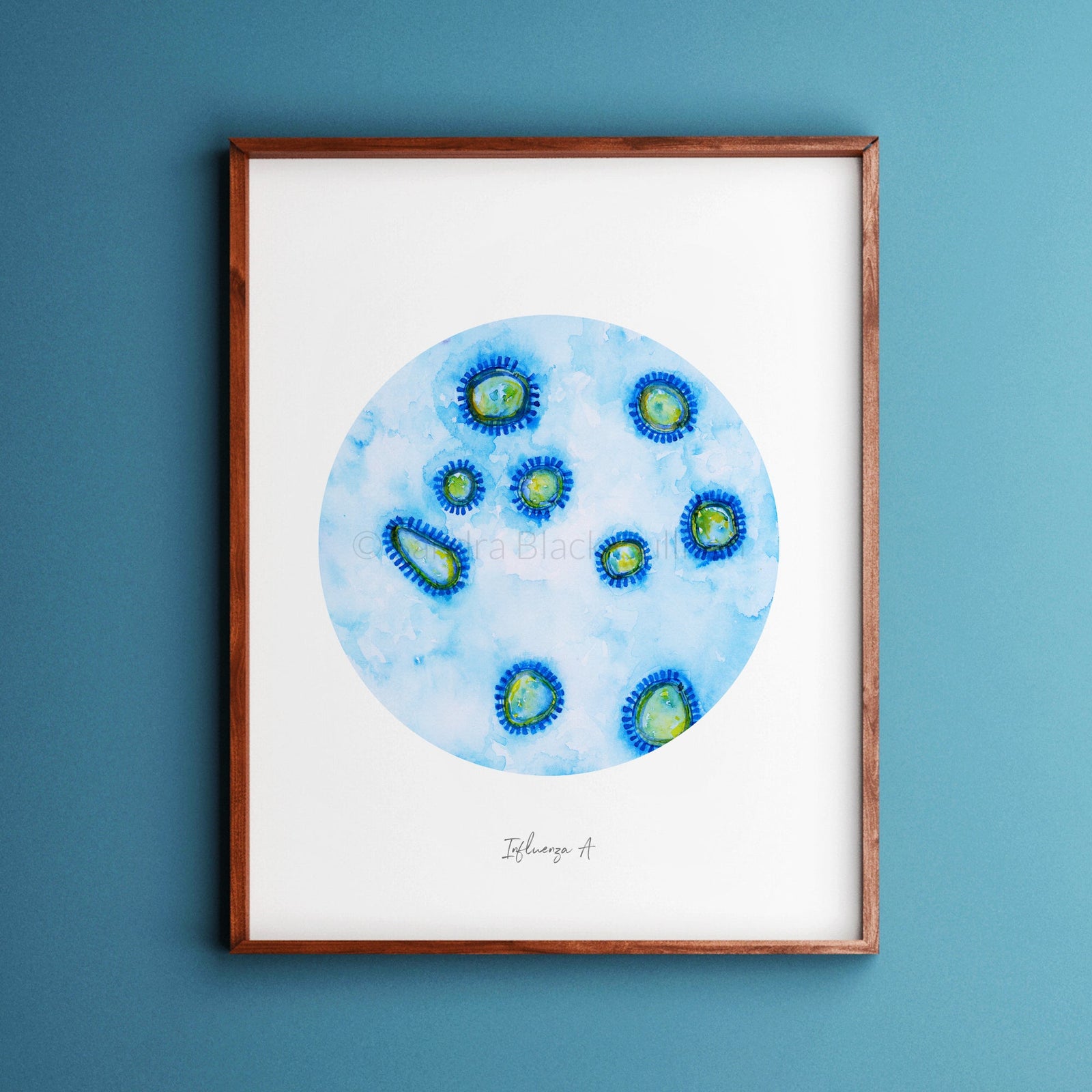 Inflenza A Electron Microscopy Print