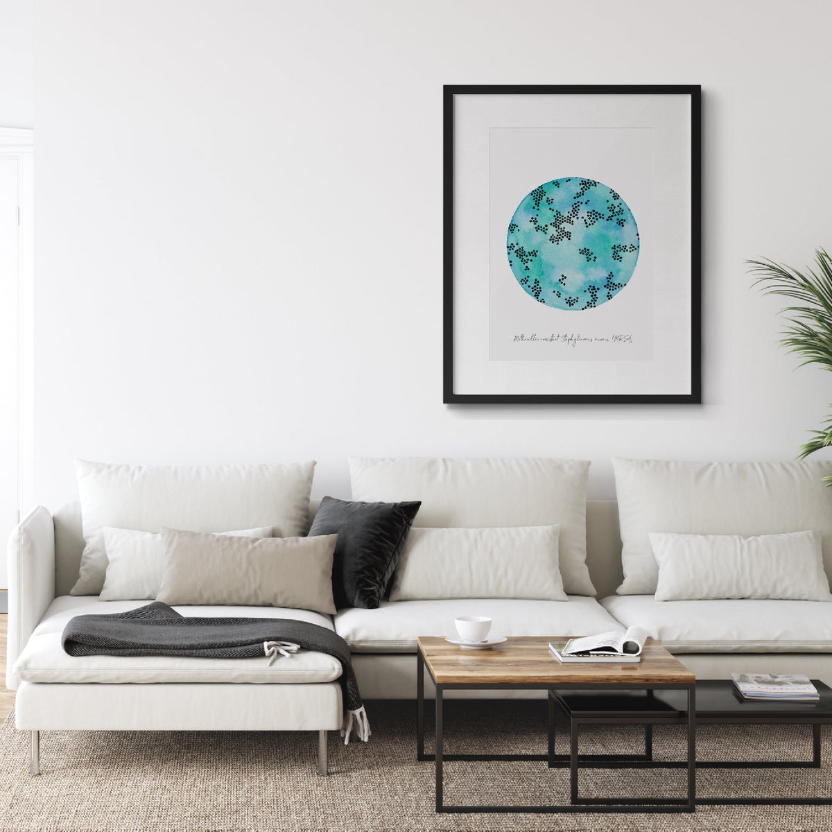 MRSA framed above a couch