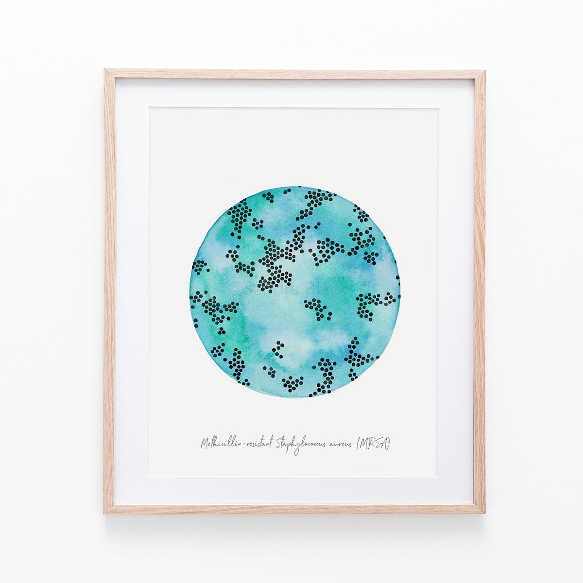 MRSA print in a wooden frame
