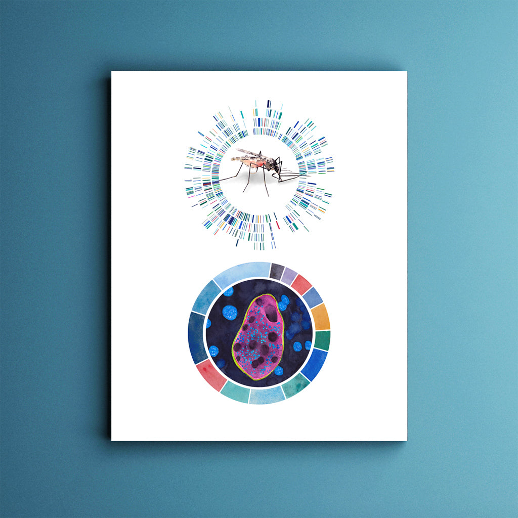 Malaria Profile art print