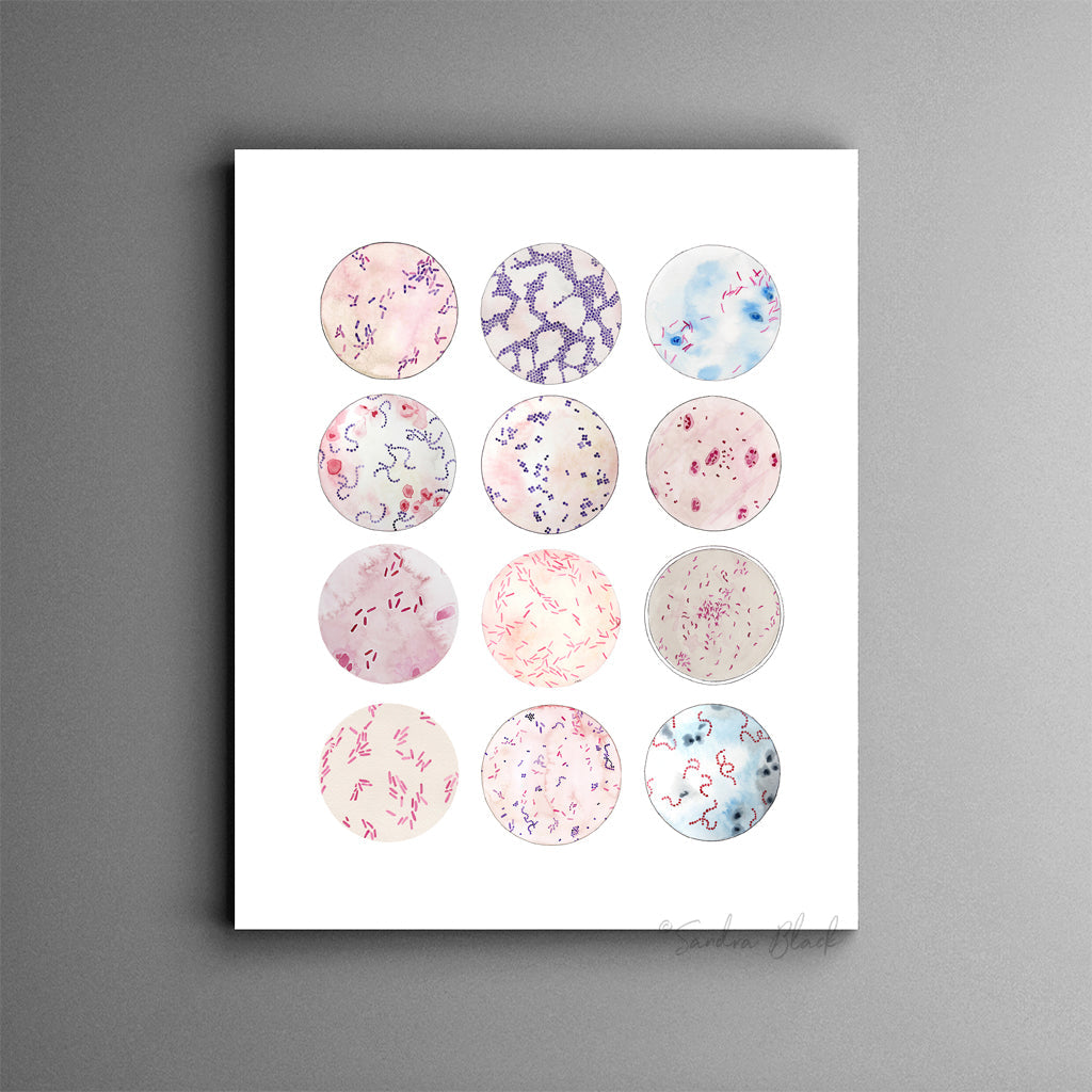 Microbe Collection,[product type] - Sandra Black Science Art